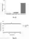 Fig. 14 - Bioreducible N-oxide-based probes for imaging of hypoxia