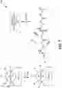 Fig. 08 - Hydroxyapatite janus particles