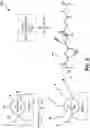 Fig. 09 - Hydroxyapatite janus particles