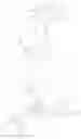 Fig. 29 - Manganese chelate compounds