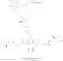 Fig. 46 - Manganese chelate compounds
