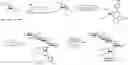 Fig. 01 - Apramycin derivatives
