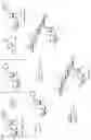 Fig. 04 - Apramycin derivatives