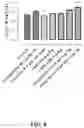 Fig. 09 - Substituted 4-phenyl pyridine compounds as non-systemic TGR5 agonists