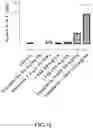 Fig. 13 - Substituted 4-phenyl pyridine compounds as non-systemic TGR5 agonists