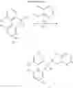 Fig. 24 - Substituted 4-phenyl pyridine compounds as non-systemic TGR5 agonists