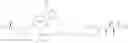Fig. 462 - Substituted 4-phenyl pyridine compounds as non-systemic TGR5 agonists