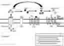 Fig. 01 - Inhibitors of CD73-mediated immunosuppression