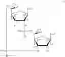 Fig. 02 - Cyclic di-nucleotide compounds as sting agonists