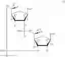 Fig. 04 - Cyclic di-nucleotide compounds as sting agonists