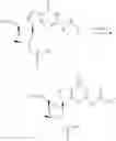 Fig. 63 - Cyclic di-nucleotide compounds as sting agonists