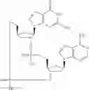 Fig. 74 - Cyclic di-nucleotide compounds as sting agonists