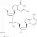Fig. 78 - Cyclic di-nucleotide compounds as sting agonists