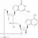 Fig. 90 - Cyclic di-nucleotide compounds as sting agonists