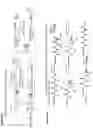 Fig. 05 - Epimerization-free N to C solid-phase peptide synthesis