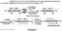 Fig. 08 - Epimerization-free N to C solid-phase peptide synthesis