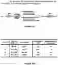 Fig. 09 - Epimerization-free N to C solid-phase peptide synthesis