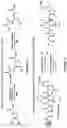 Fig. 10 - Epimerization-free N to C solid-phase peptide synthesis