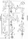 Fig. 14 - Epimerization-free N to C solid-phase peptide synthesis