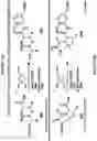 Fig. 16 - Epimerization-free N to C solid-phase peptide synthesis