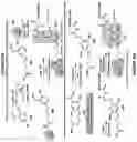 Fig. 18 - Epimerization-free N to C solid-phase peptide synthesis