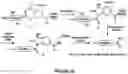Fig. 20 - Epimerization-free N to C solid-phase peptide synthesis