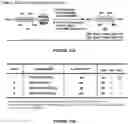 Fig. 25 - Epimerization-free N to C solid-phase peptide synthesis