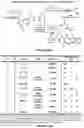 Fig. 31 - Epimerization-free N to C solid-phase peptide synthesis