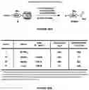 Fig. 33 - Epimerization-free N to C solid-phase peptide synthesis