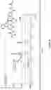 Fig. 41 - Epimerization-free N to C solid-phase peptide synthesis