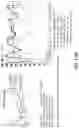 Fig. 13 - Use of Raman spectroscopy in downstream purification