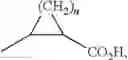 Fig. 97 - AZAINDOLINE COMPOUNDS AS GRANZYME B INHIBITORS