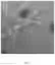 Fig. 04 - Peptide inhibitors of transcription factor aggregation