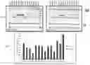 Fig. 01 - Proteolytic inactivation of select proteins in bacterial extracts for improved expression