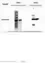 Fig. 05 - METHOD FOR SEPARATING AND PURIFYING MUSSEL ADHESIVE PROTEIN