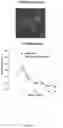 Fig. 07 - METHOD FOR SEPARATING AND PURIFYING MUSSEL ADHESIVE PROTEIN