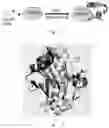 Fig. 02 - YAP PROTEIN INHIBITING POLYPEPTIDE AND APPLICATION THEREOF
