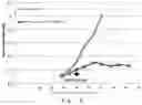 Fig. 04 - YAP PROTEIN INHIBITING POLYPEPTIDE AND APPLICATION THEREOF