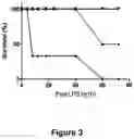 Fig. 04 - Improved Loading of EVs with Therapeutic Proteins
