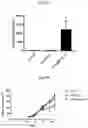 Fig. 03 - IL-31 improves efficacy of macrophage-based adoptive cell therapy for cancer