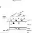 Fig. 27 - Cretion-competent muteins of the human IL-27 alpha-subunit