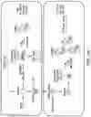 Fig. 24 - Peptide-MHC compacts