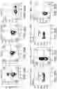 Fig. 31 - Peptide-MHC compacts