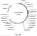 Fig. 05 - Method for Treating Ischemic Tissue