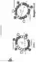 Fig. 05 - Compositions and methods for treating and/or preventing pathogenic fungal infection and for maintenance of microbiome commensalism