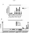 Fig. 15 - Compositions and methods for treating and/or preventing pathogenic fungal infection and for maintenance of microbiome commensalism