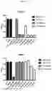 Fig. 22 - Compositions and methods for treating and/or preventing pathogenic fungal infection and for maintenance of microbiome commensalism