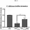 Fig. 24 - Compositions and methods for treating and/or preventing pathogenic fungal infection and for maintenance of microbiome commensalism