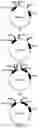 Fig. 04 - Antibody capable of binding to norovirus, composite, detection device and method using the same