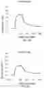 Fig. 07 - Antibody capable of binding to norovirus, composite, detection device and method using the same